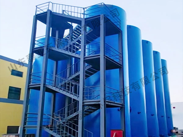 中化集團(tuán)某化工有限公司廢水資源化利用項(xiàng)目